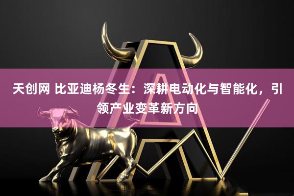 天创网 比亚迪杨冬生：深耕电动化与智能化，引领产业变革新方向