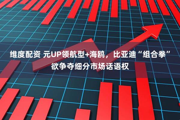 维度配资 元UP领航型+海鸥，比亚迪“组合拳”欲争夺细分市场话语权