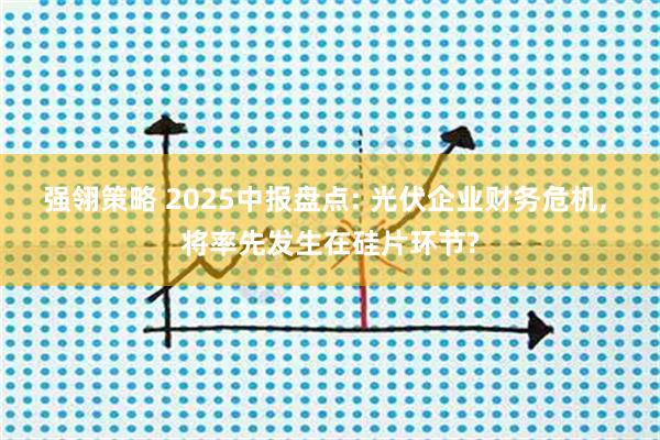 强翎策略 2025中报盘点: 光伏企业财务危机, 将率先发生在硅片环节?