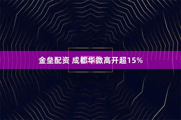 金垒配资 成都华微高开超15%