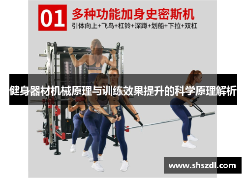 健身器材机械原理与训练效果提升的科学原理解析