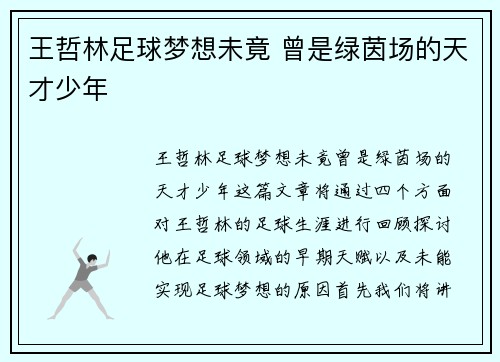 王哲林足球梦想未竟 曾是绿茵场的天才少年