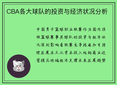 CBA各大球队的投资与经济状况分析